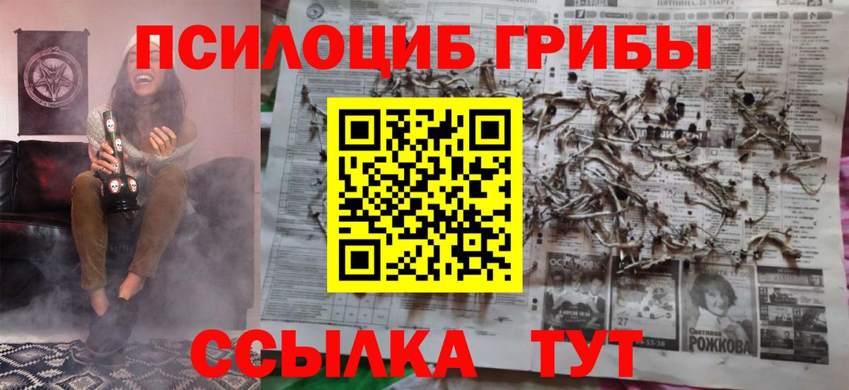 Псилоцибиновые грибы Psilocybe Гай